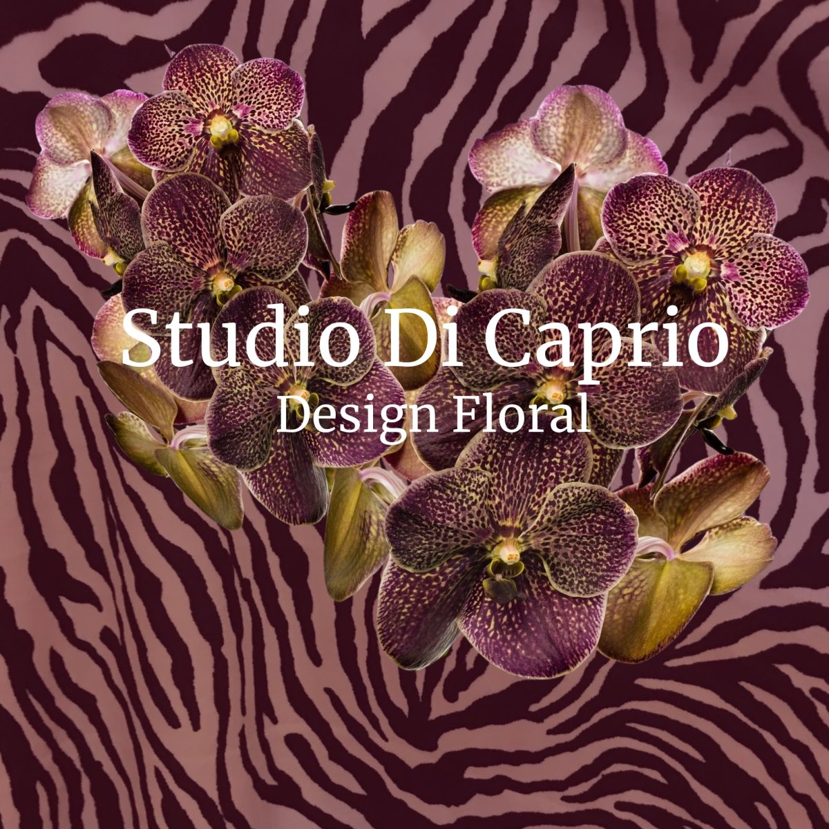 Studio Di Capiro Desin floral